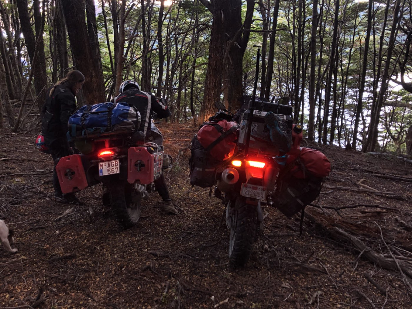 The Carretera Austral, 2019