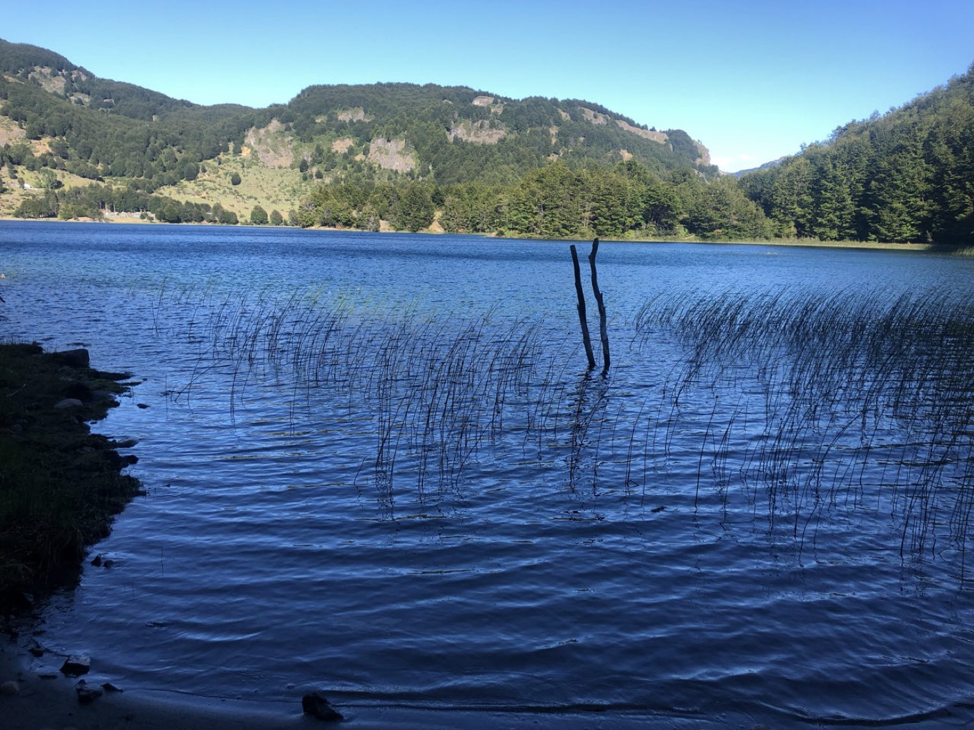 The Carretera Austral, 2019