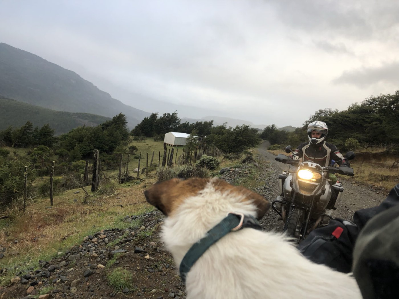 The Carretera Austral, 2019