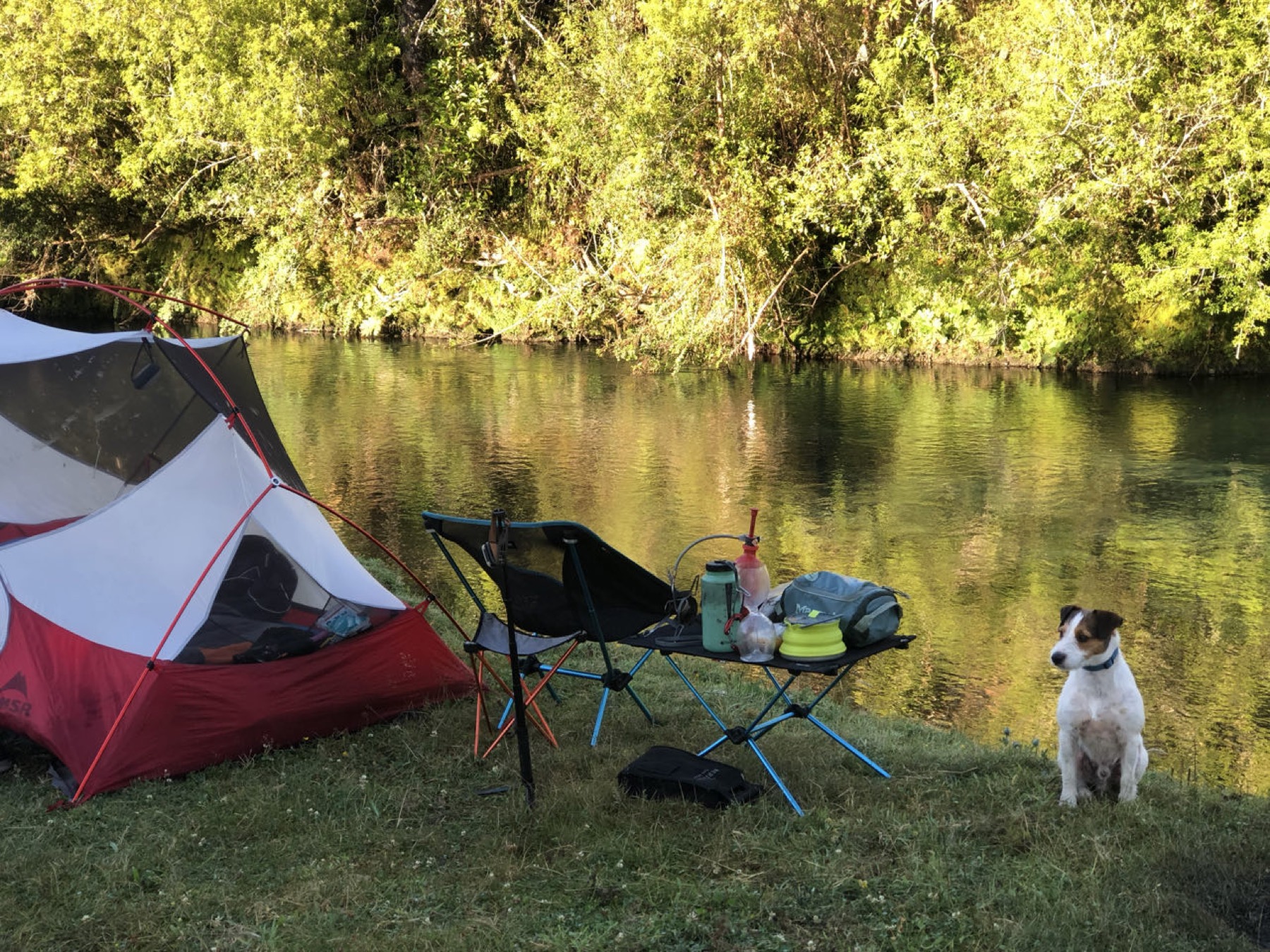 Queulat national park
