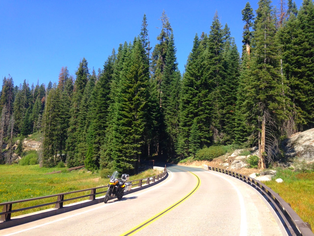 The motorcycle on a wide forest bend with a yellow centre line