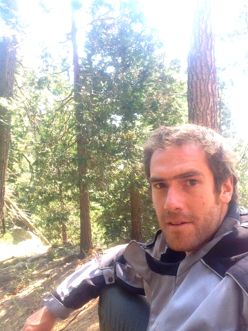 A selfie among the sequoia trunks