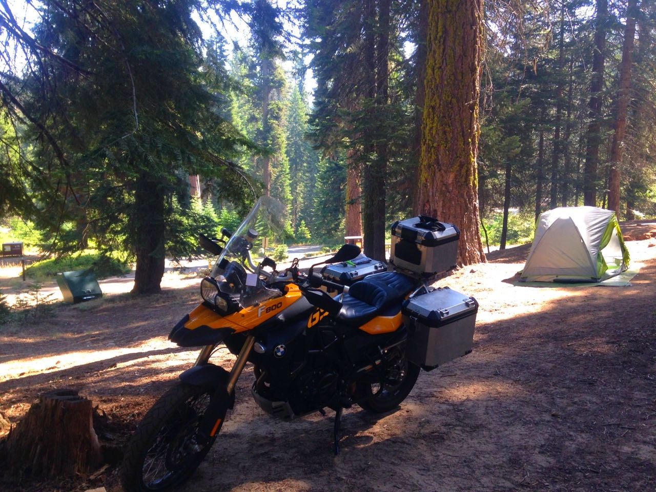 The motorcycle and a tent pitched among sequoias