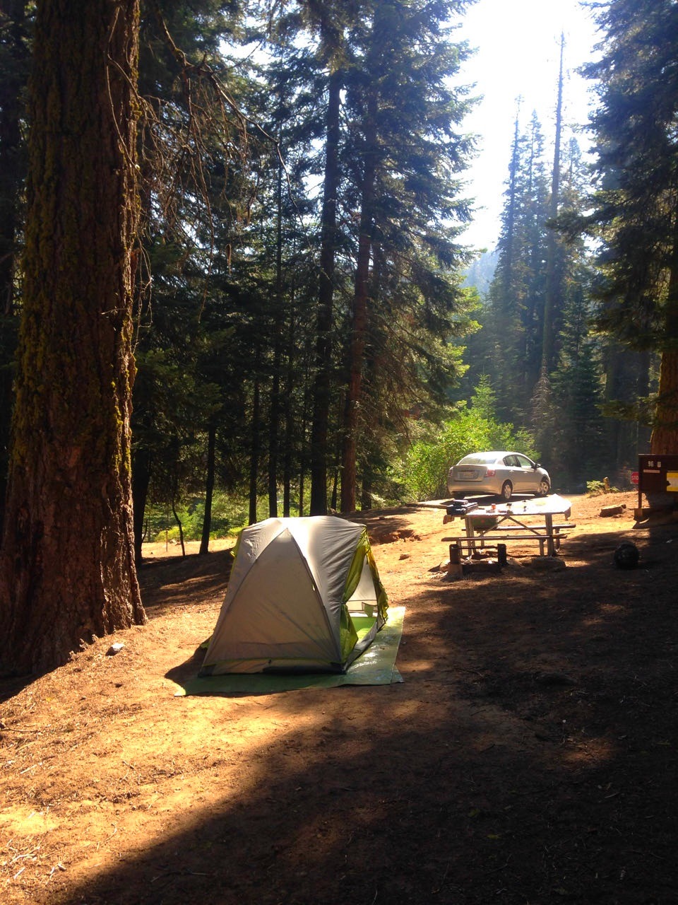A tent at a forest campsite in the morning light