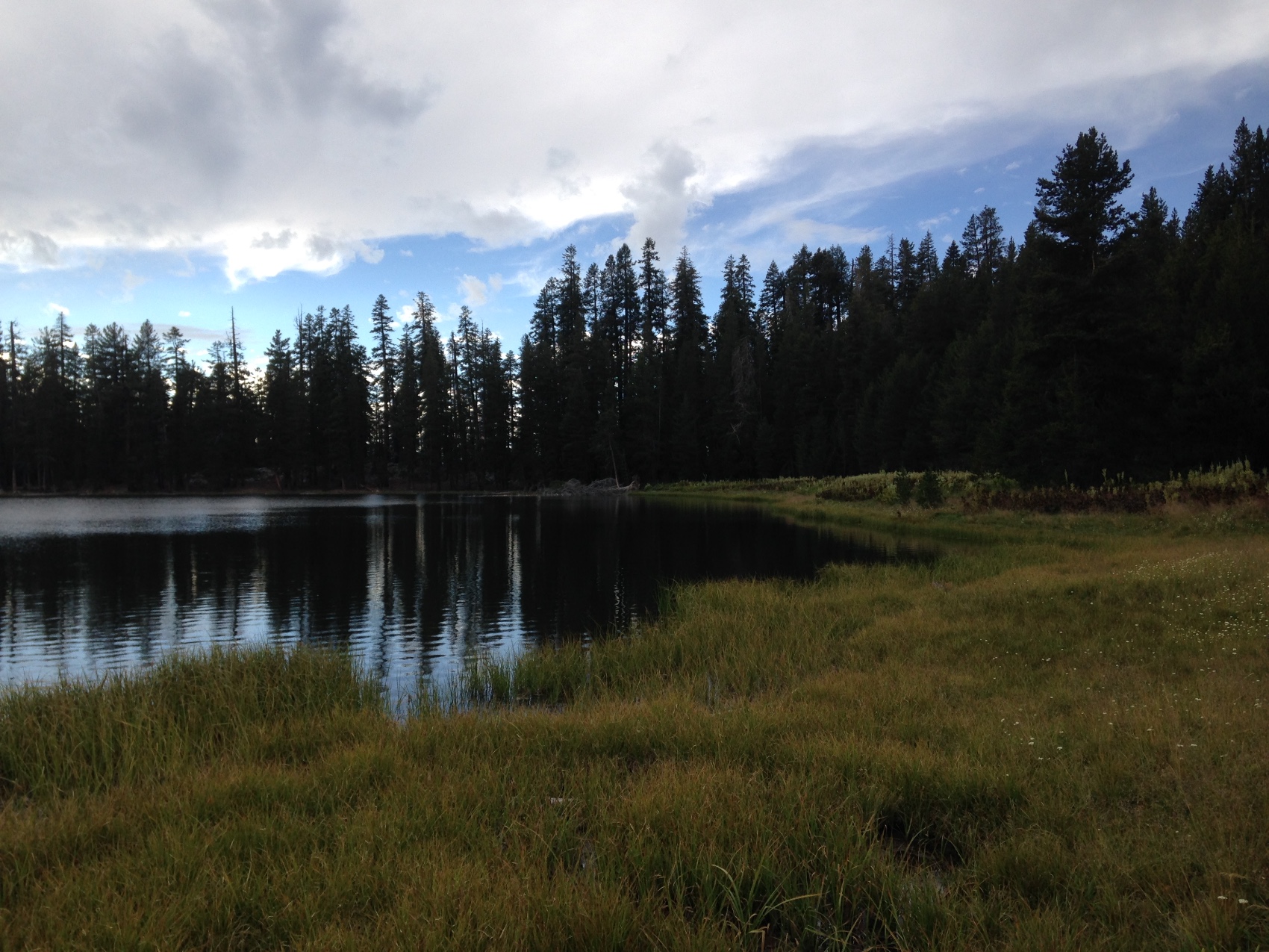 A small forest lake ringed with pines in the late afternoon