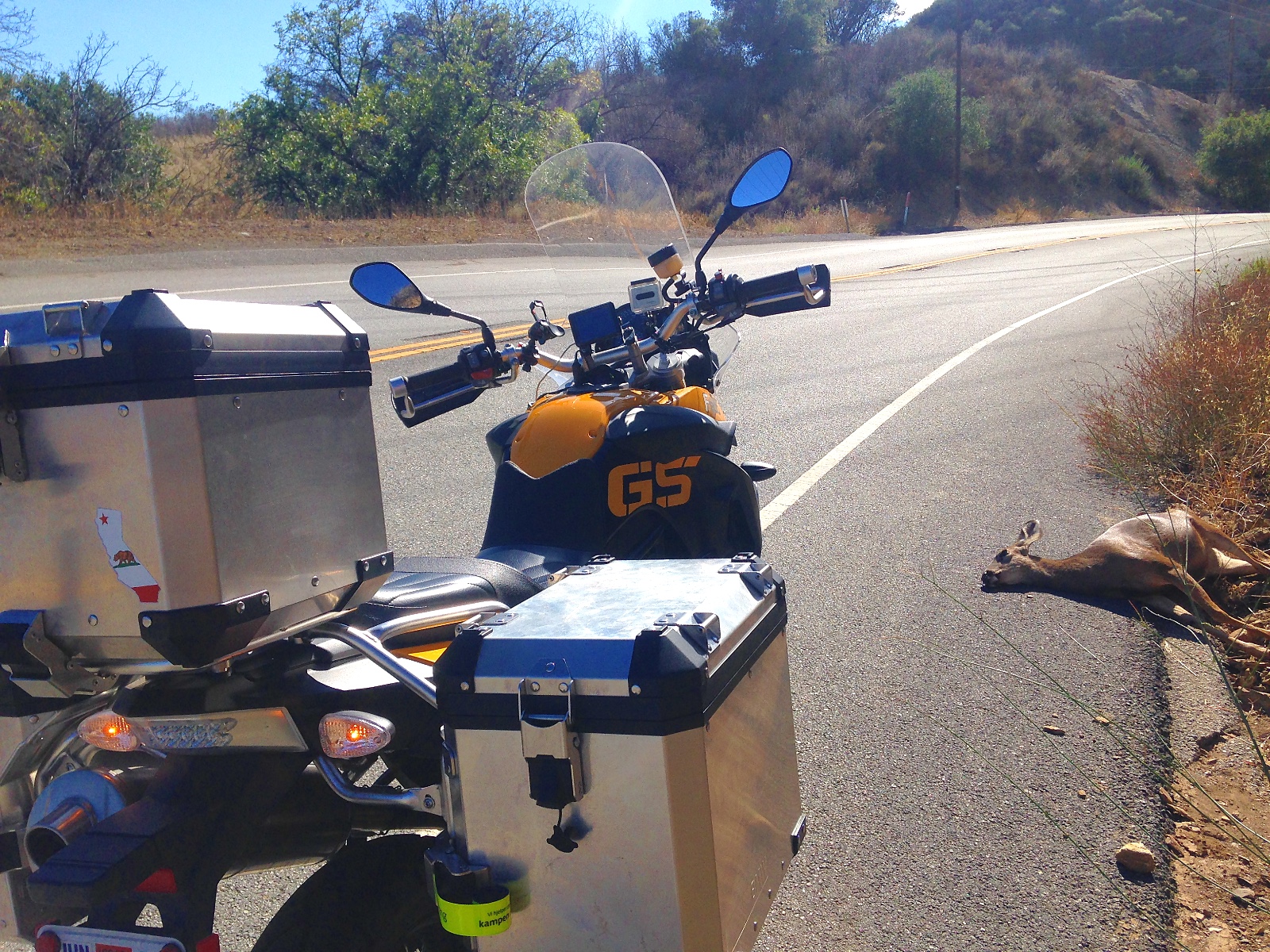A dead deer on the verge of a mountain road