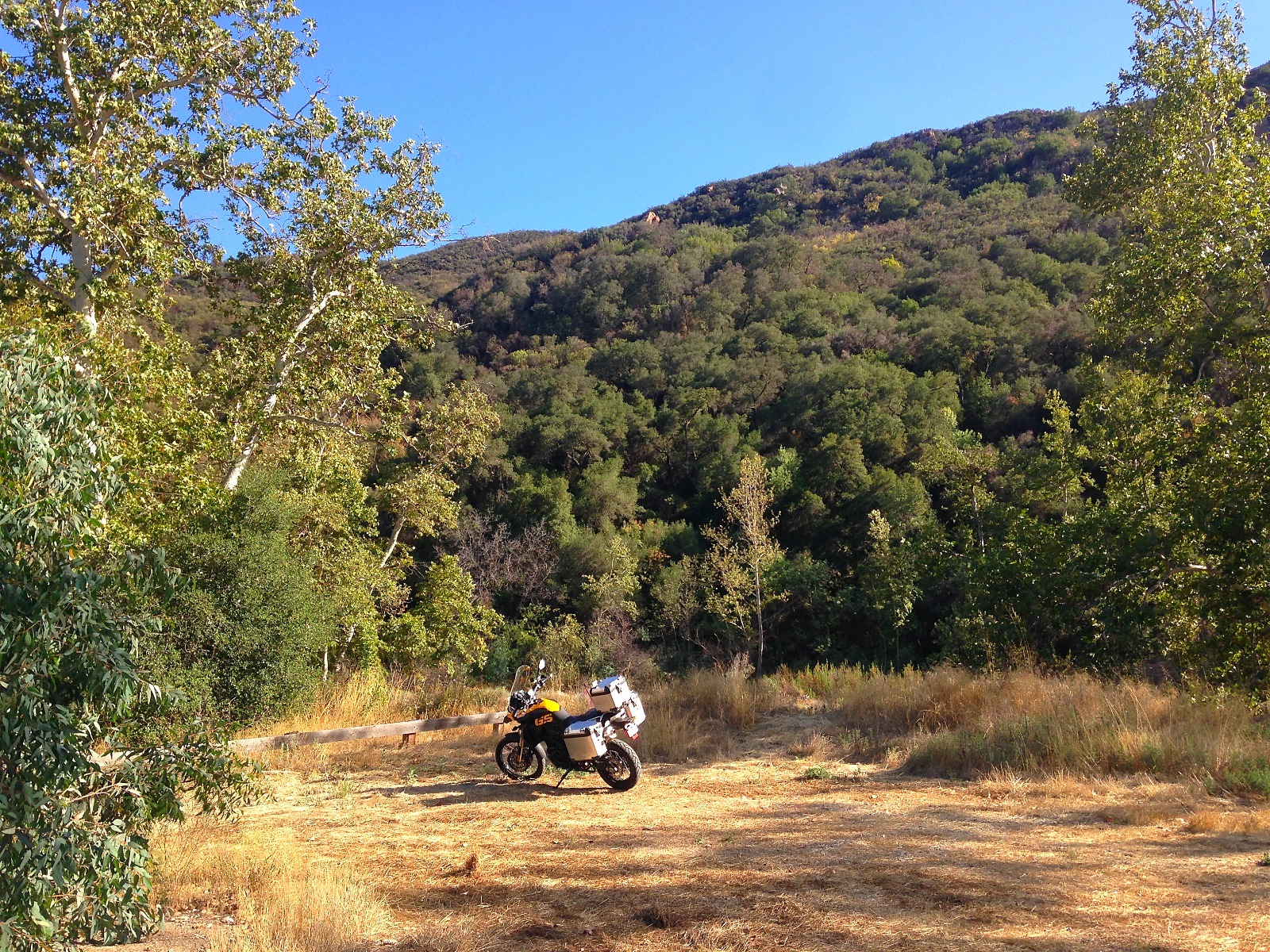 The motorcycle small in a green canyon