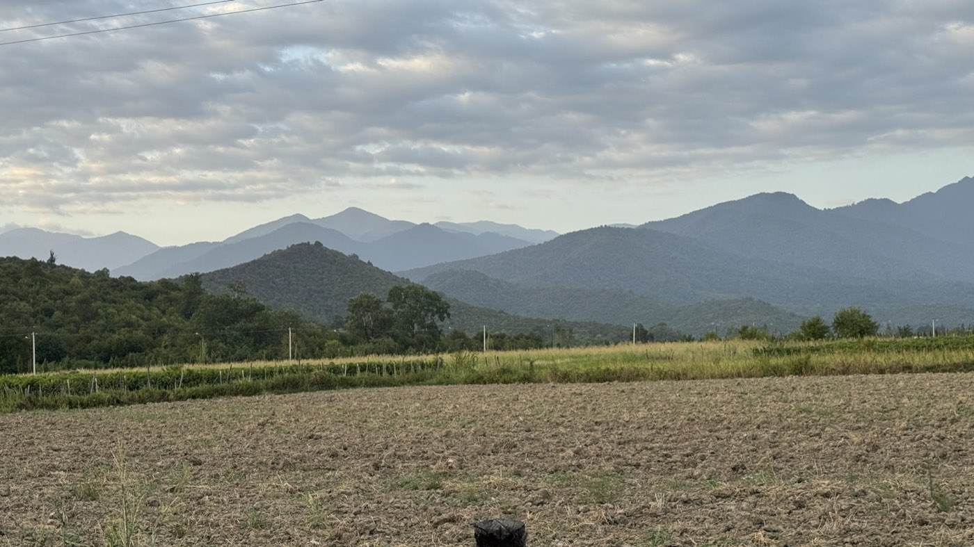 Georgia, 2025