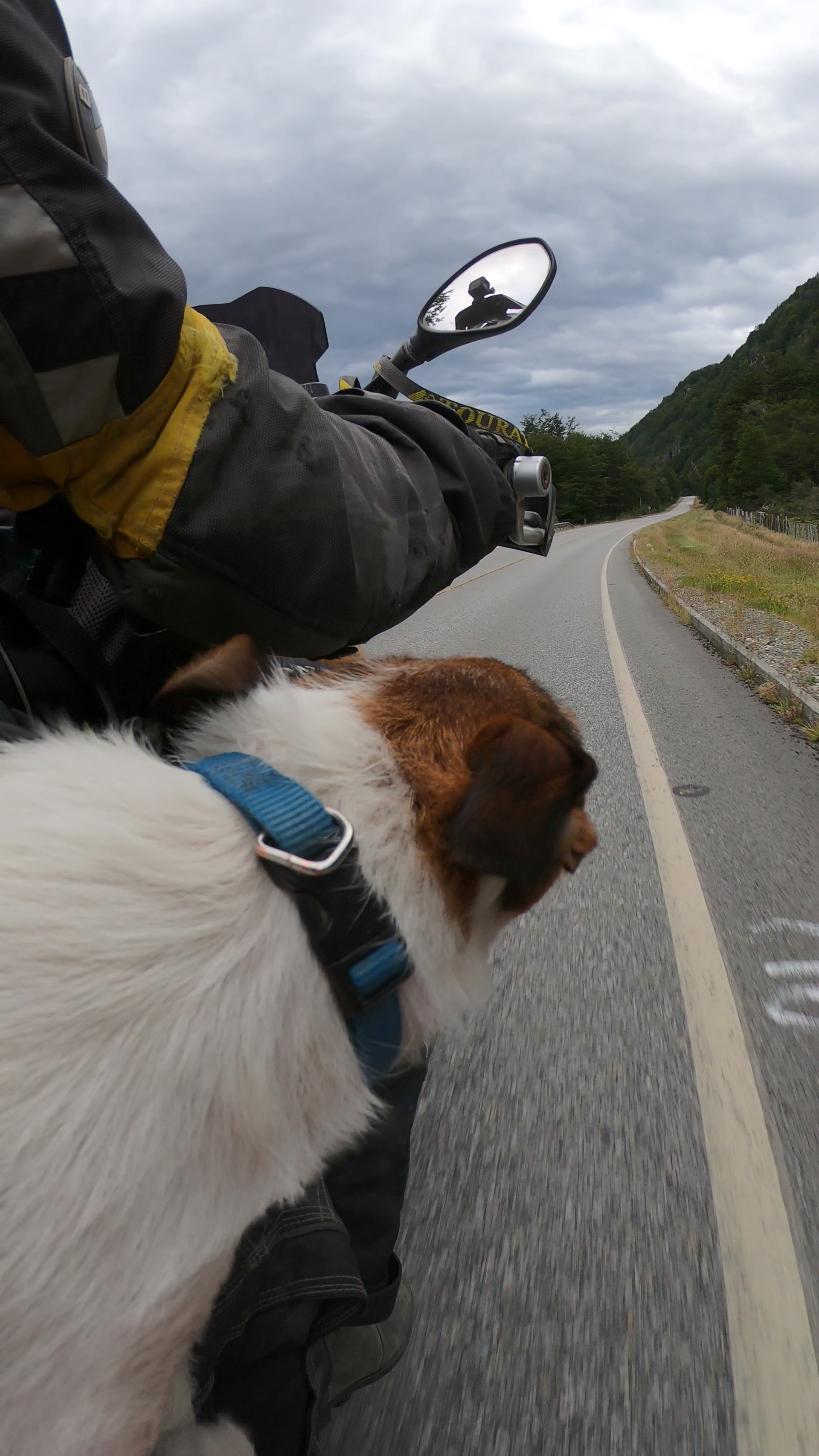 Jacko riding in front of Rodrigo on a mountain road