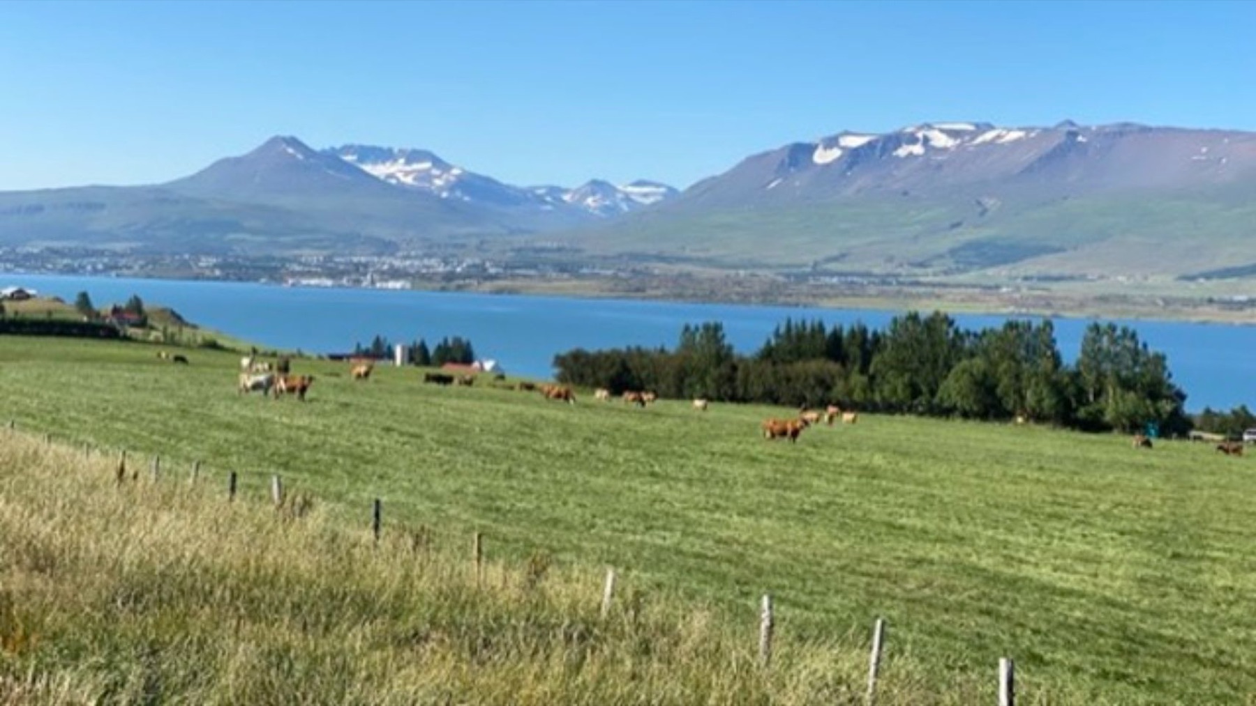 Iceland, 2021