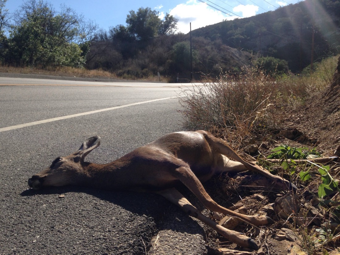 Agoura Hills