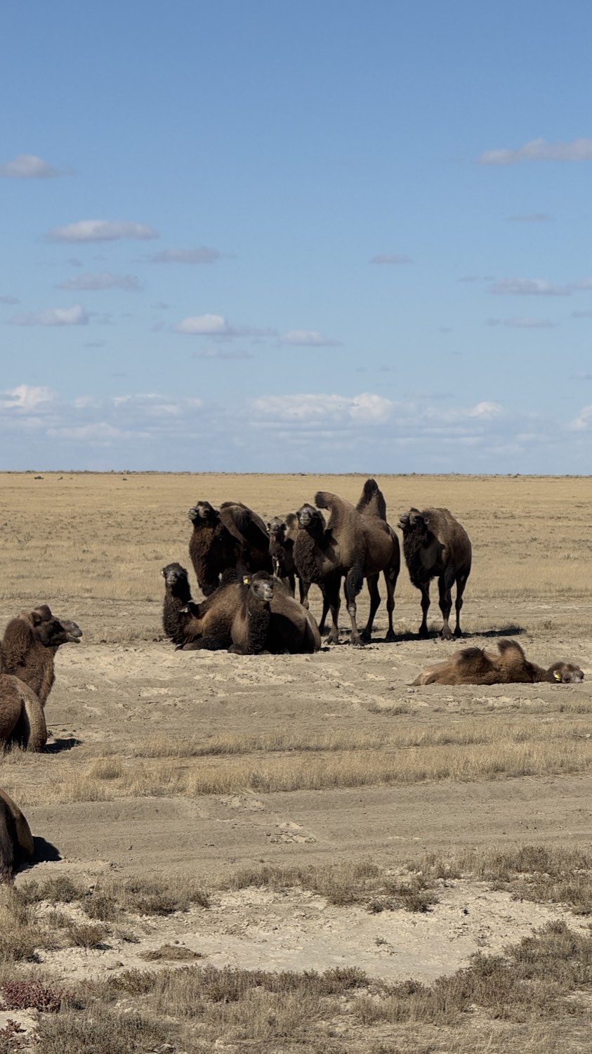 Kazakhstan, 2025