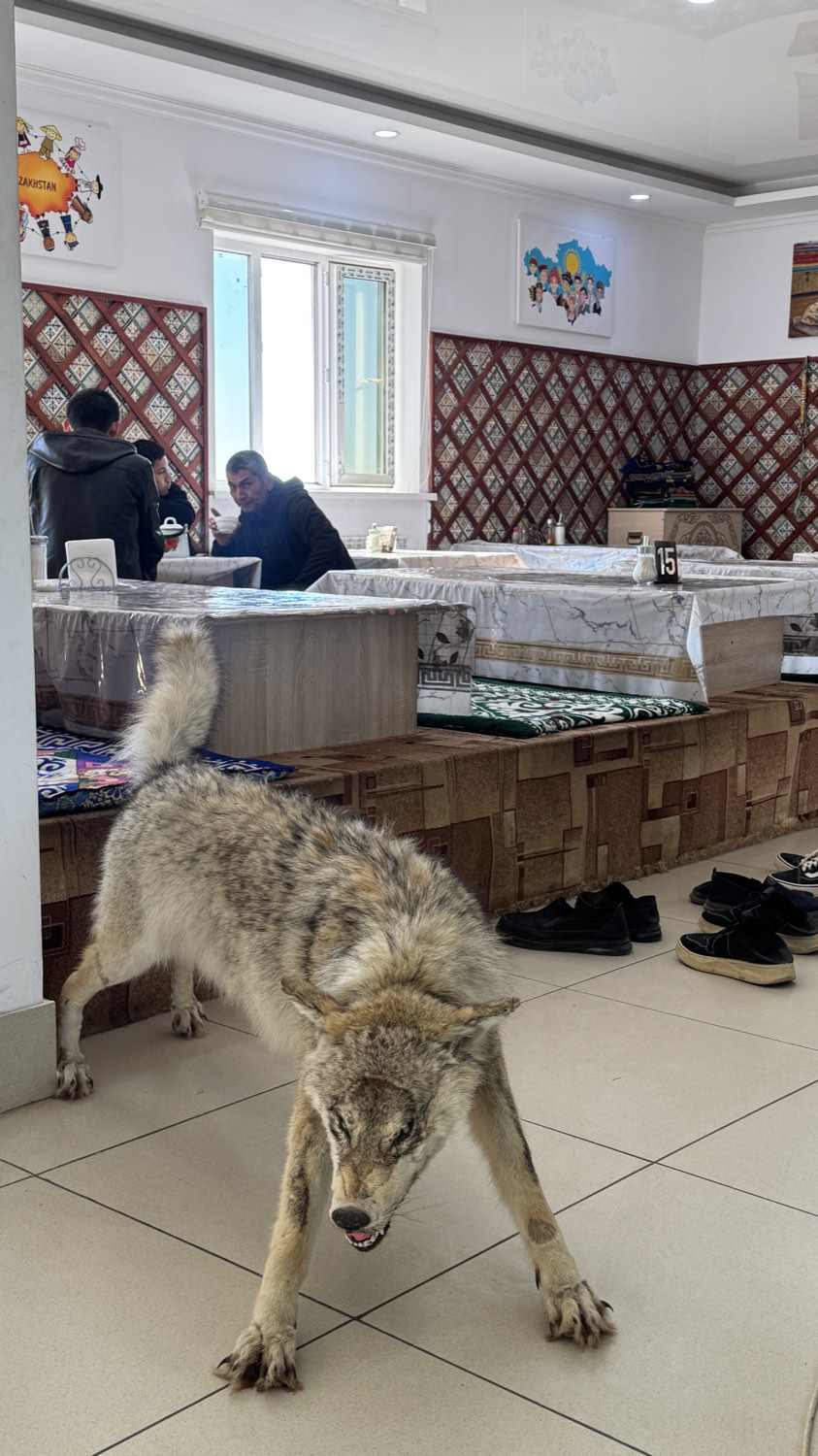 Kazakhstan, 2025