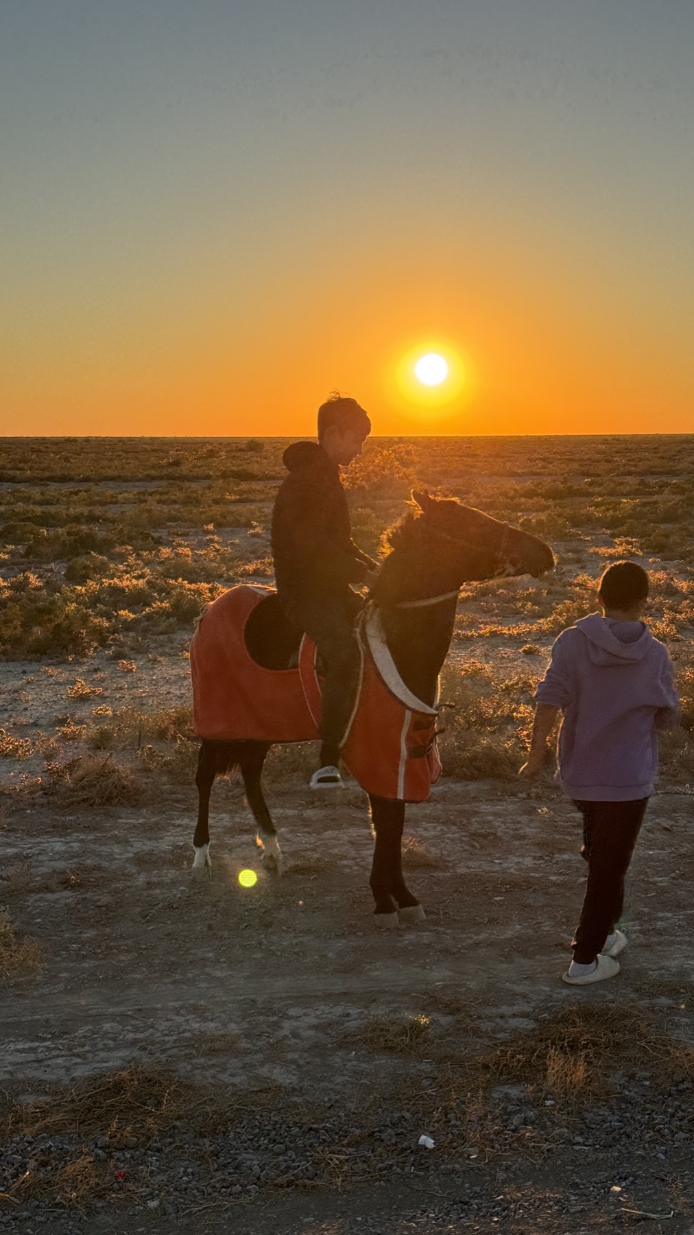 Two boys with a horse on the steppe at sunset