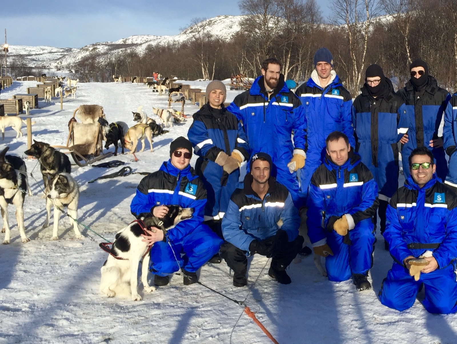 Group photograph in blue suits among husky dogs in full sun