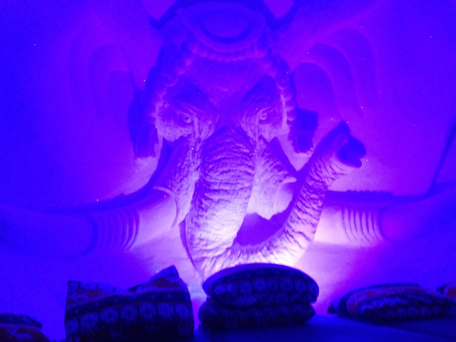 A mammoth carved in ice