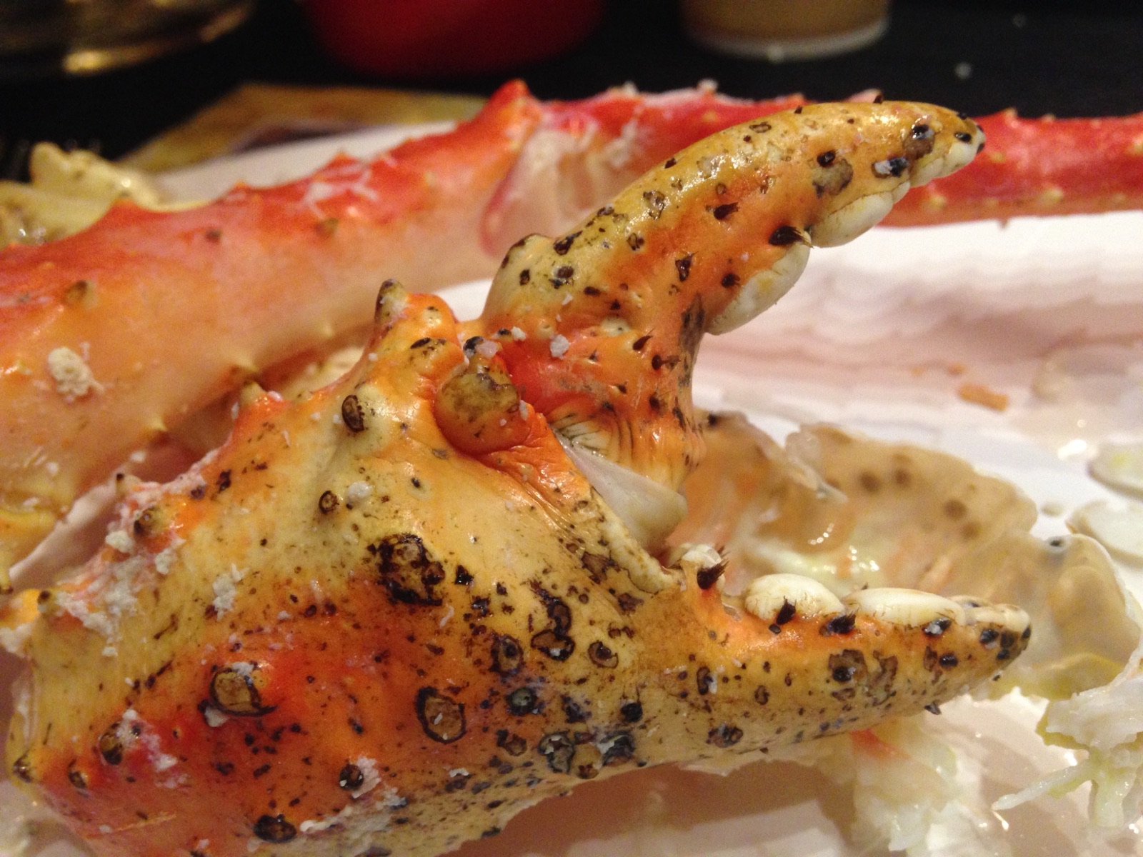 A cooked king crab leg, close up