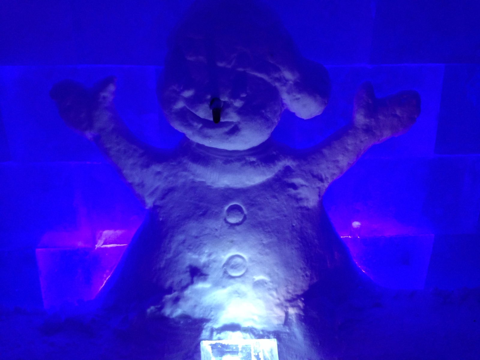 An ice sculpture lit blue