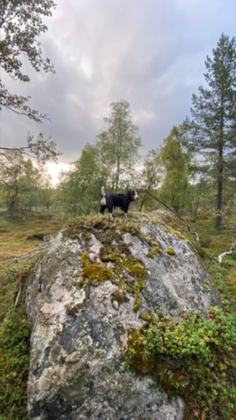 Northern Scandinavia, 2022