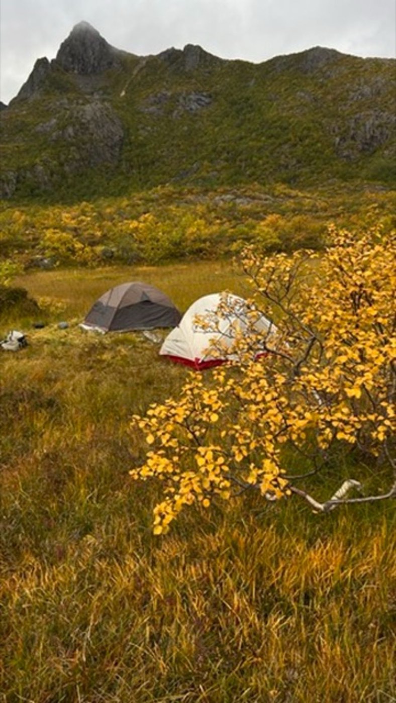 Northern Scandinavia, 2022