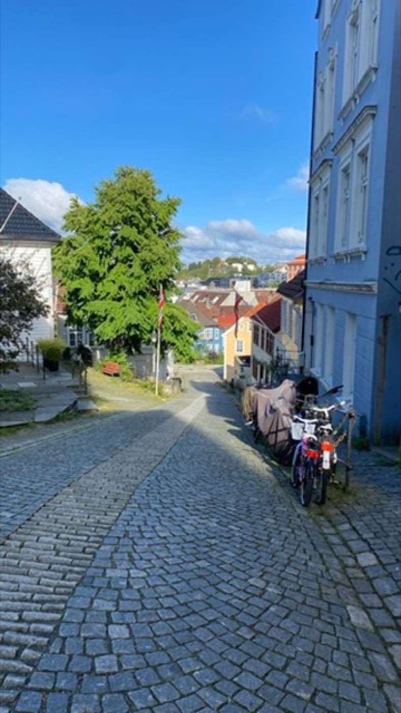 Northern Scandinavia, 2022