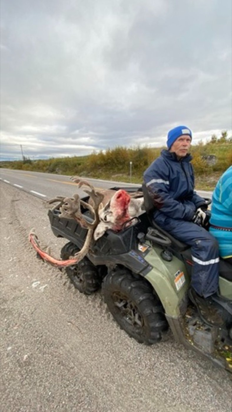Northern Scandinavia, 2022