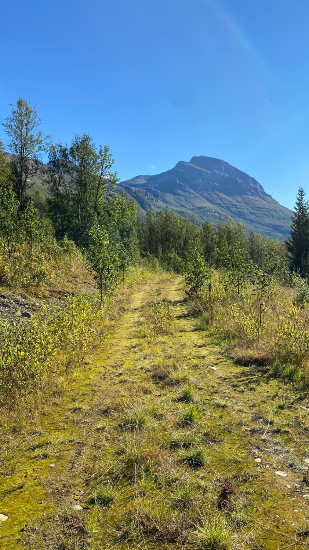 A green track running towards a mountain