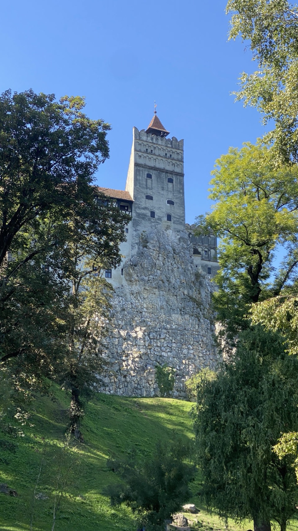 The tower of Bran castle above the trees seen from the park