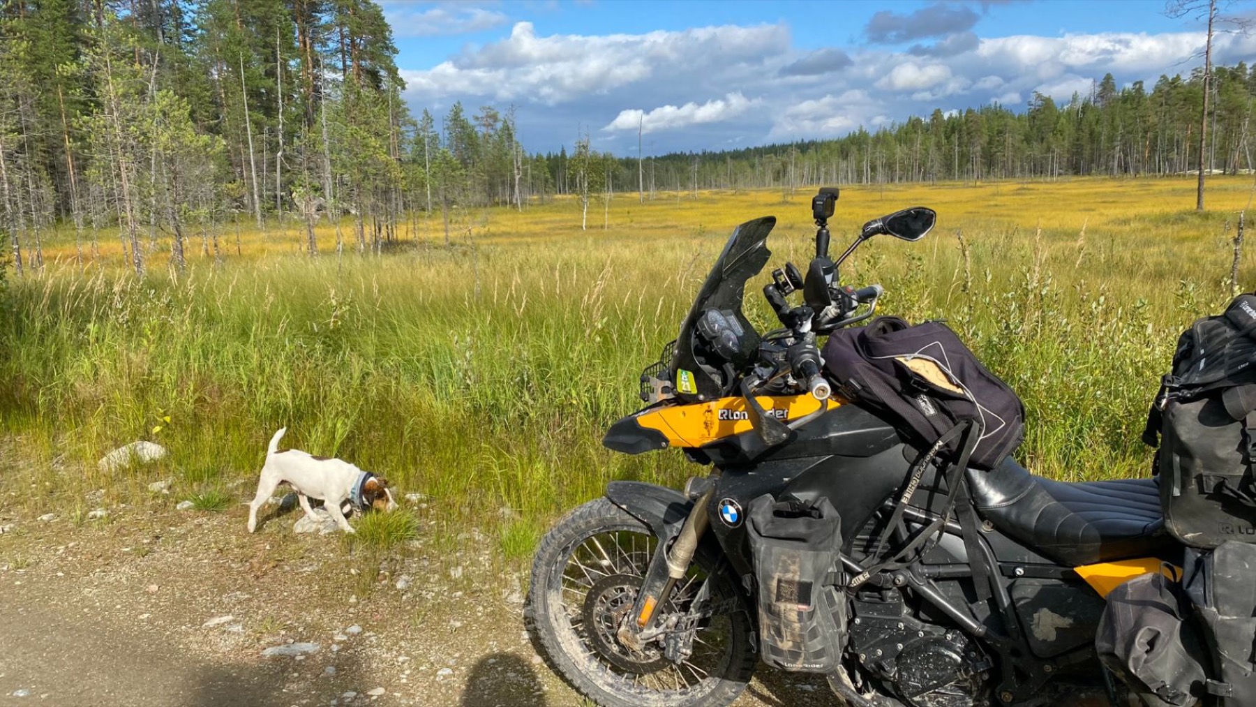 The motorcycle parked in a meadow with Jacko beside it