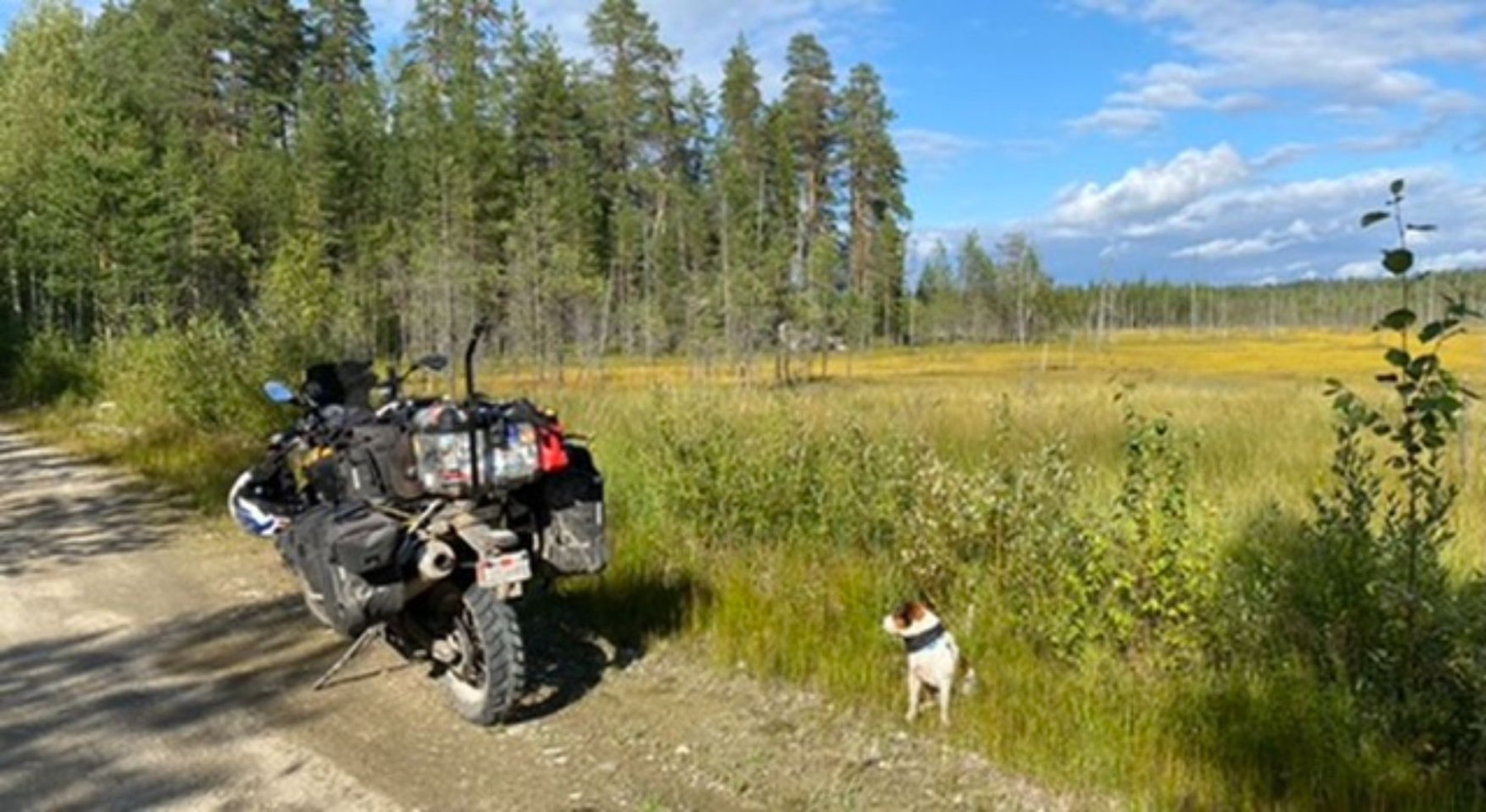 The loaded motorcycle in a forest clearing