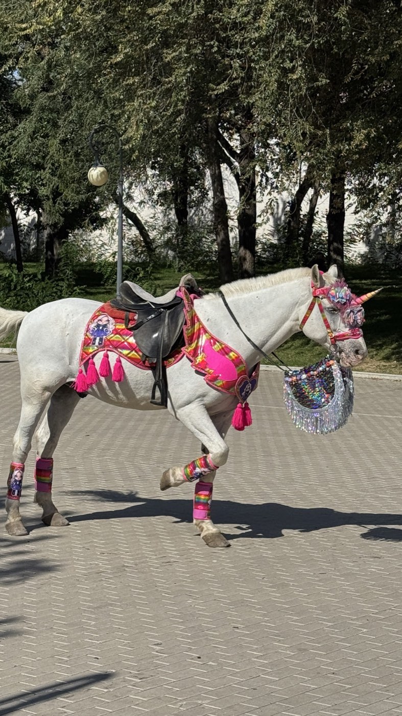 The Russian Caucasus, 2025