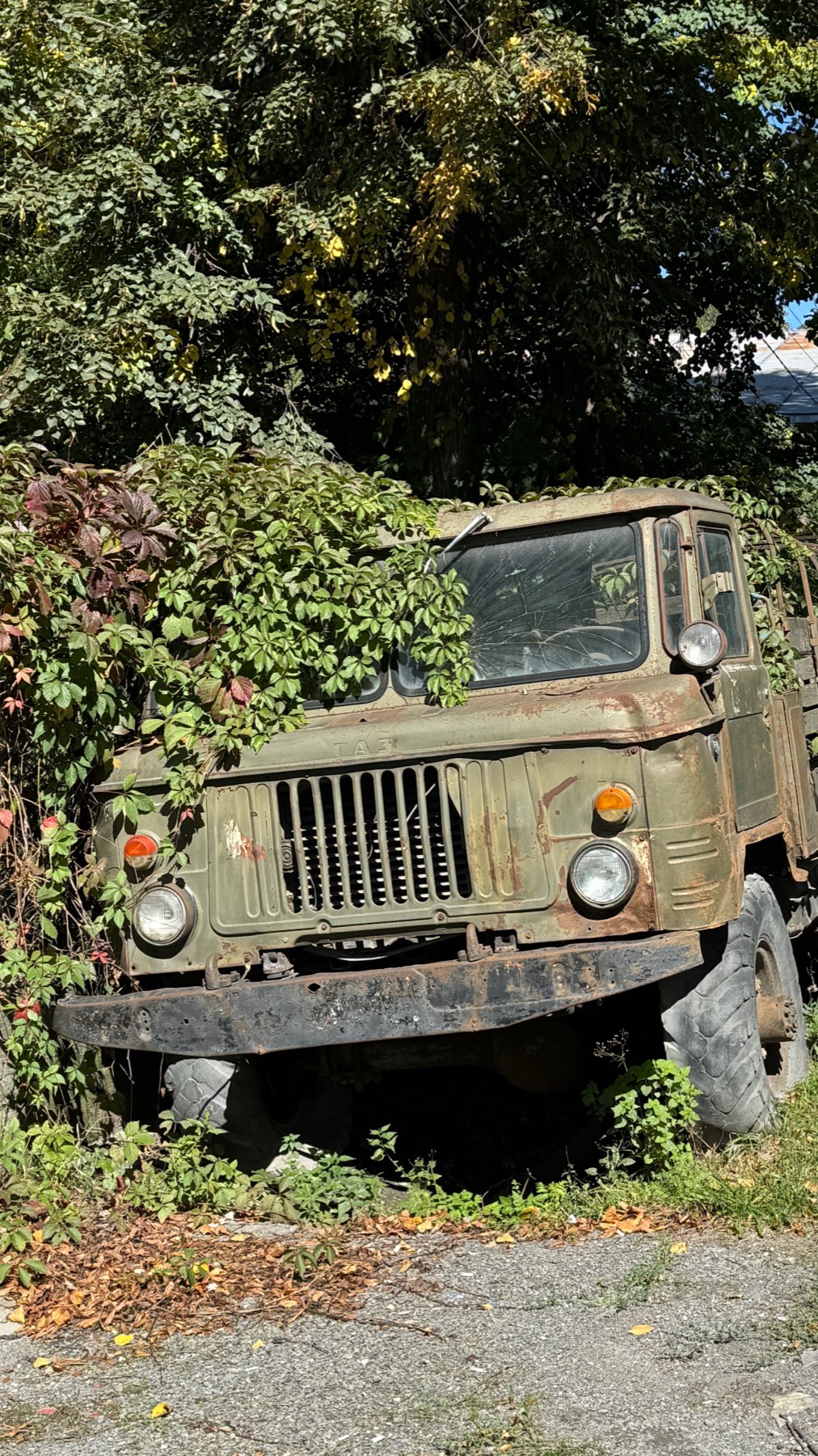 An old Soviet army truck left in the verge with ivy growing over the cab