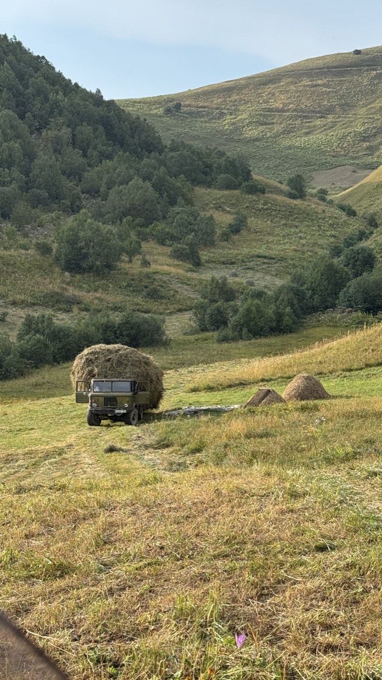 The South Ossetian border country, Georgia, 2025