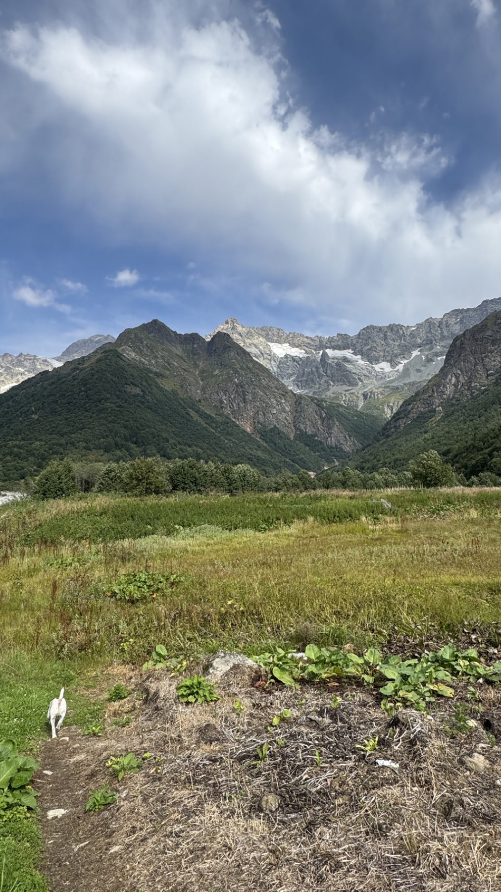 The peaks of the Greater Caucasus above a green valley