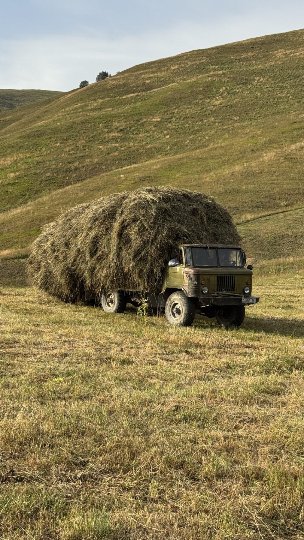 A hay truck in a mountain meadow