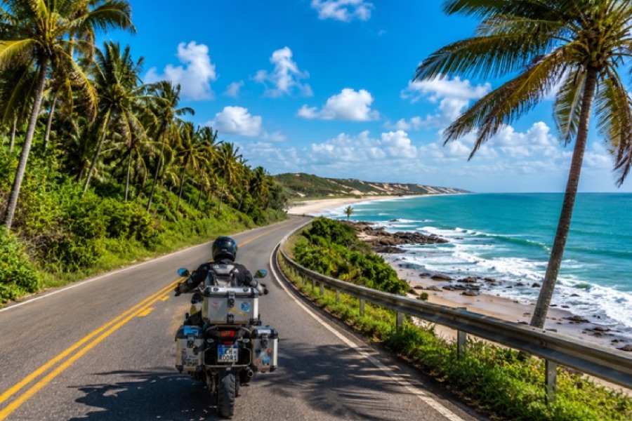 Palm lined beach on the Brazilian Atlantic coast