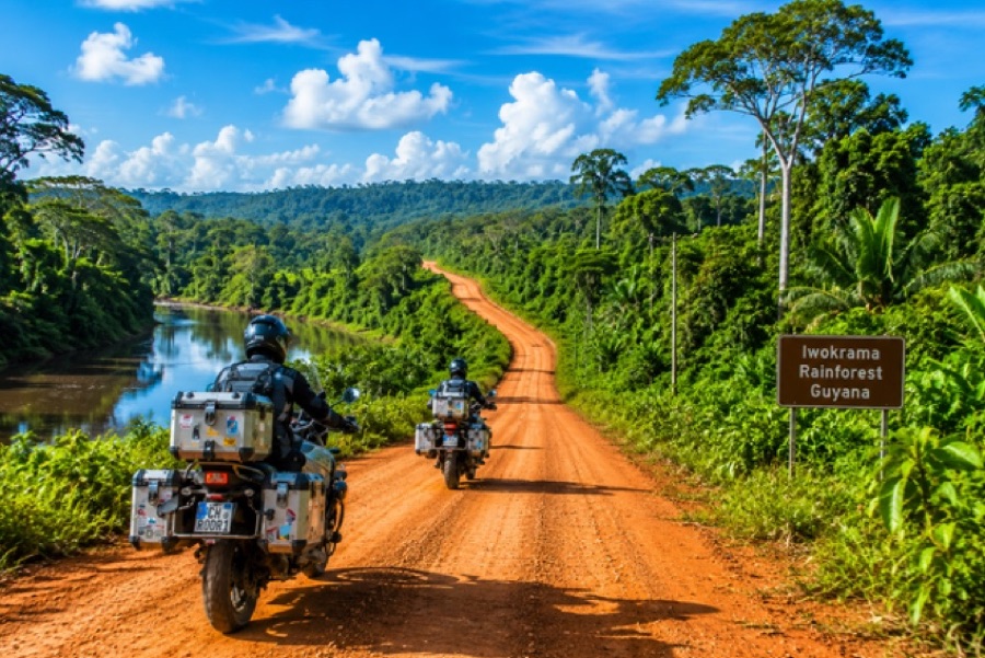 The BR-174 running north through the rainforest