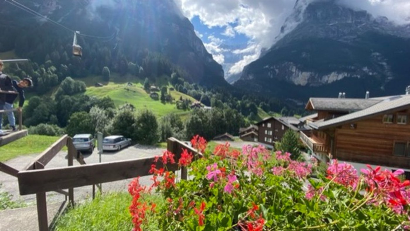 The Swiss Alps