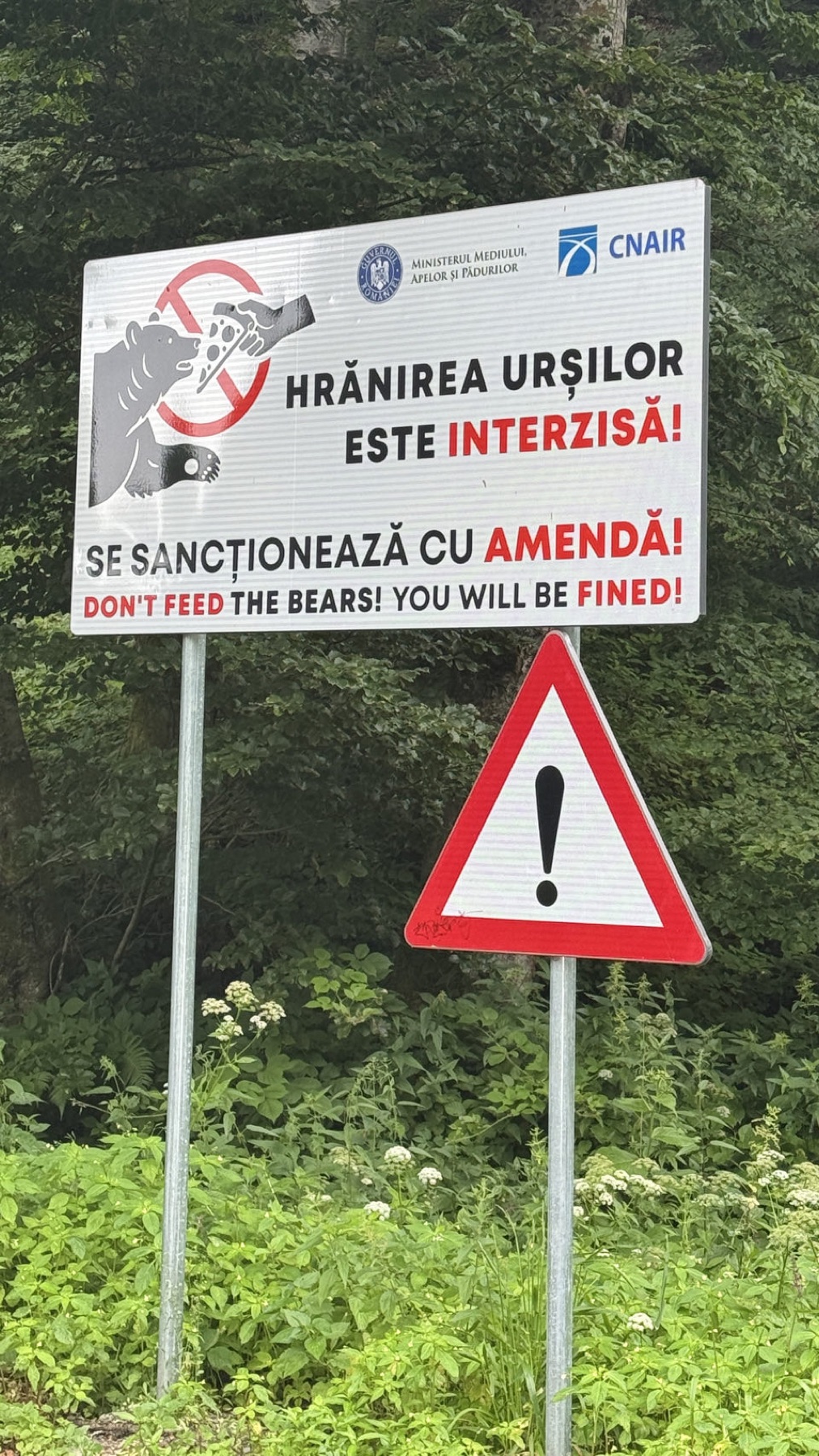 A roadside sign forbidding the feeding of bears