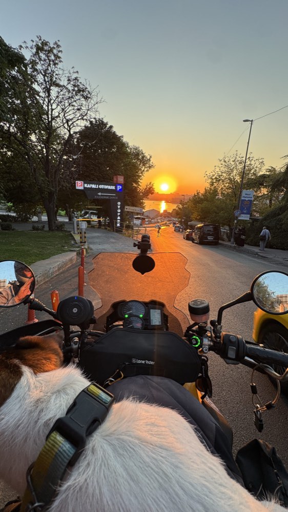 The view over the handlebars with Jacko in front, riding down towards the water at sunset