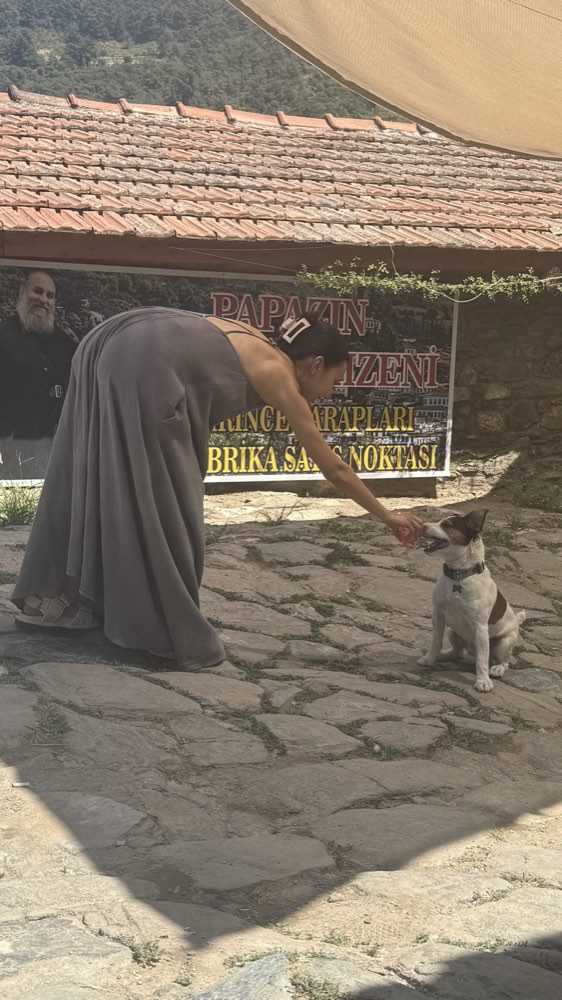 Turkey, 2025