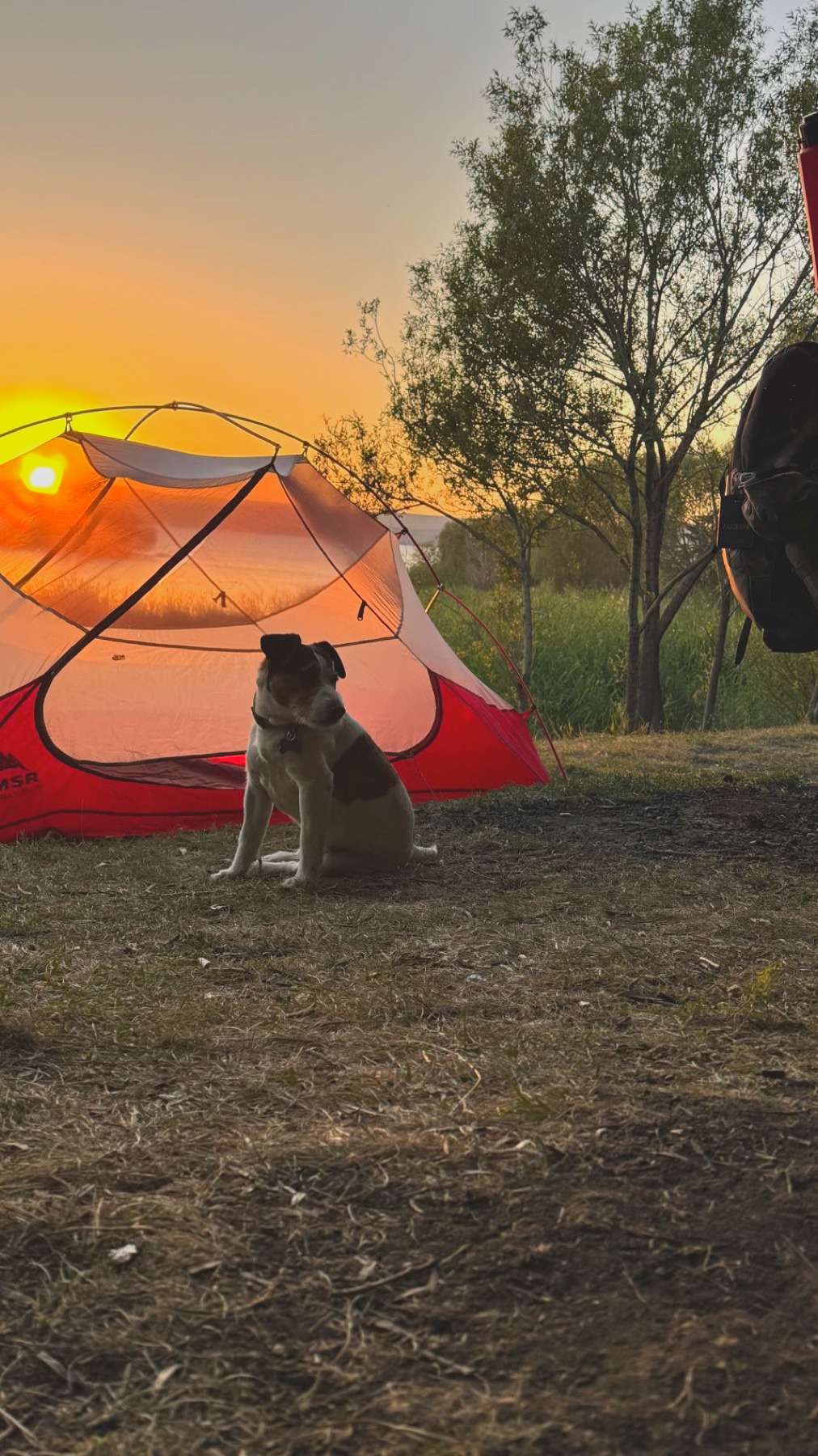 The tent beside Lake Çıldır at sunset