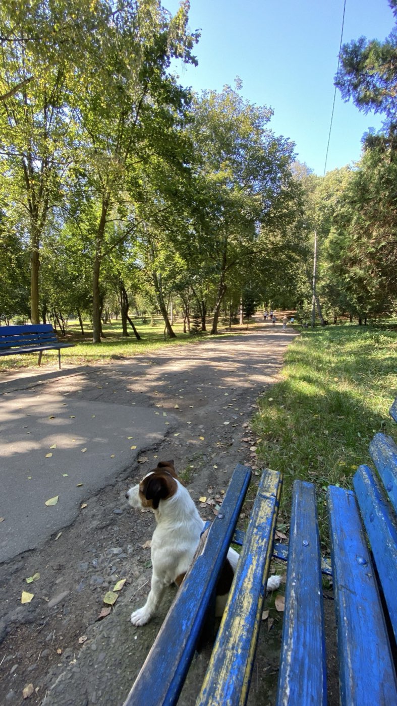 Ukraine, 2024