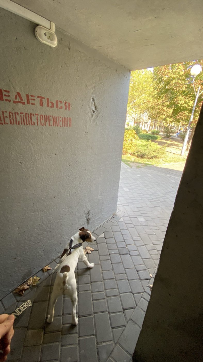 Ukraine, 2024