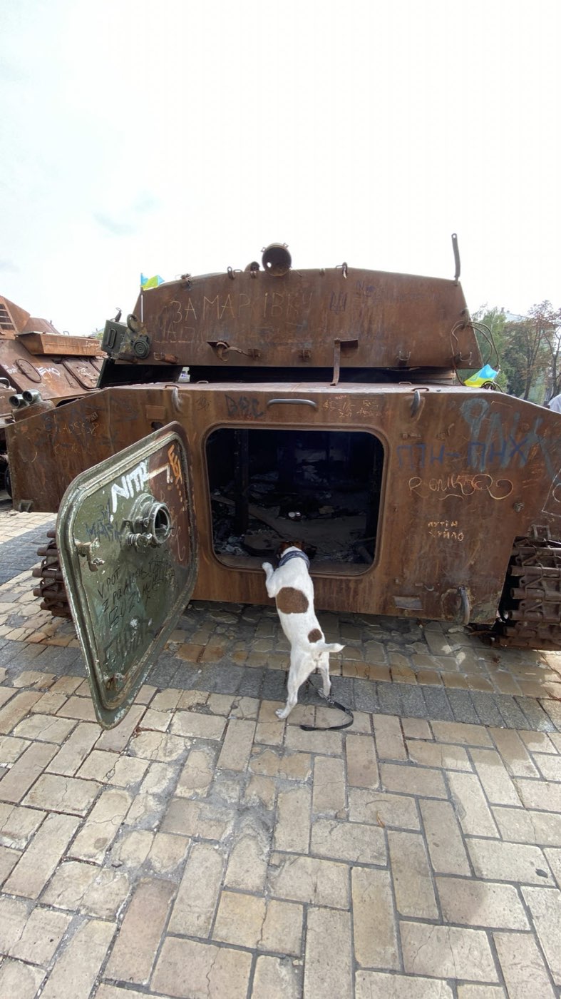Ukraine, 2024