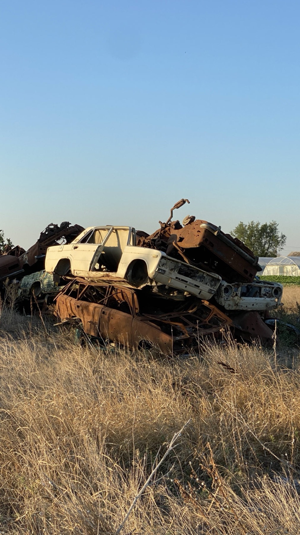 The shell of a burnt out car in a field